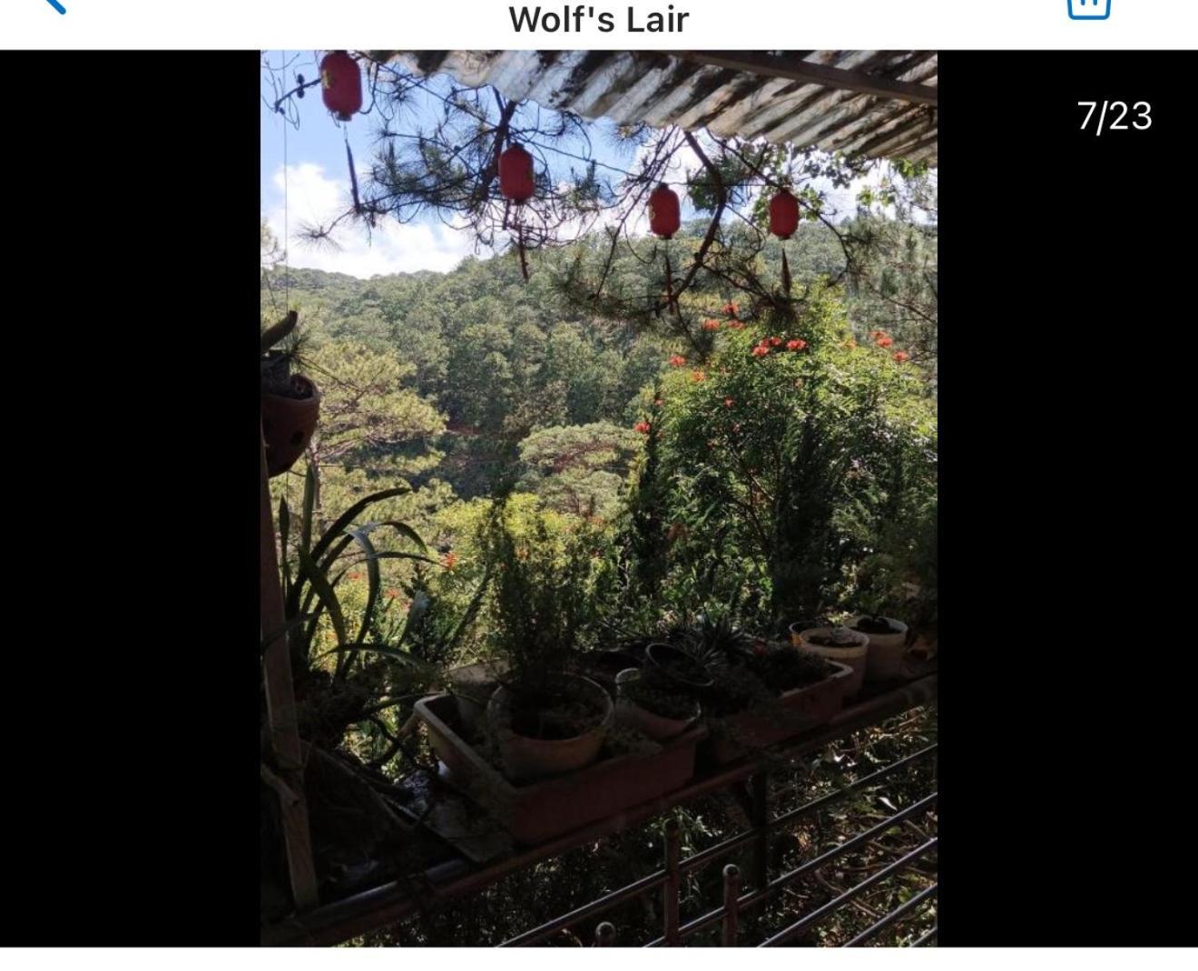 Wolf'S Lair Hotel Da Lat Exterior photo